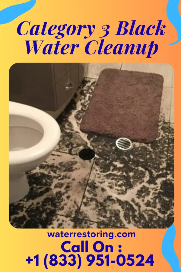 Category 3 Black Water Cleanup in Fairland, MD