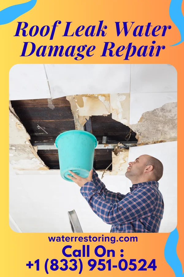 Roof Leak Water Damage Repair in Fairland, MD