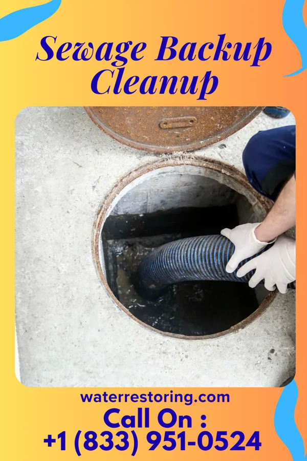 Sewage Backup Cleanup in Fairland, MD