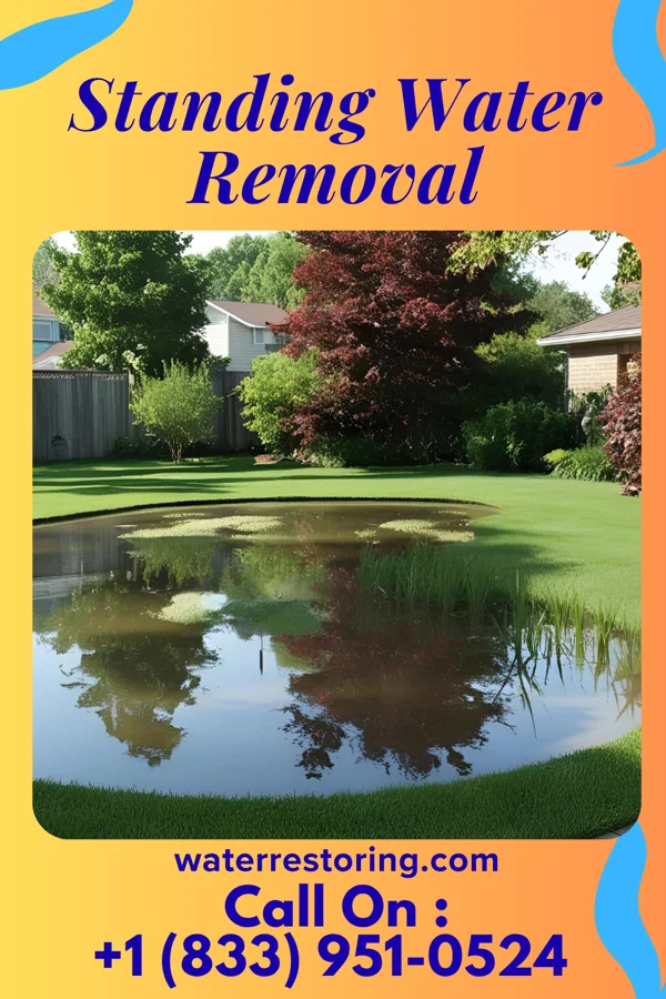 Standing Water Removal in Fairland, MD